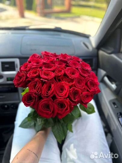 Розы Эквадор