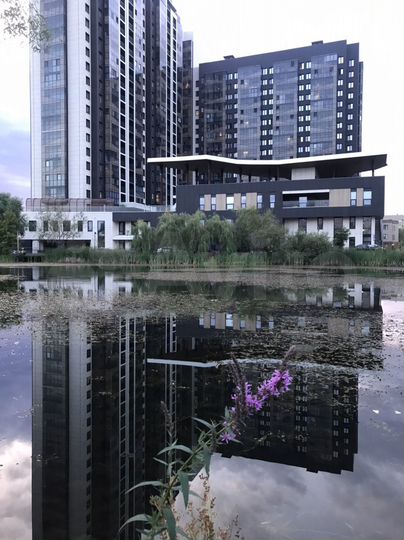 Квартира-студия, 38 м², 3/17 эт.