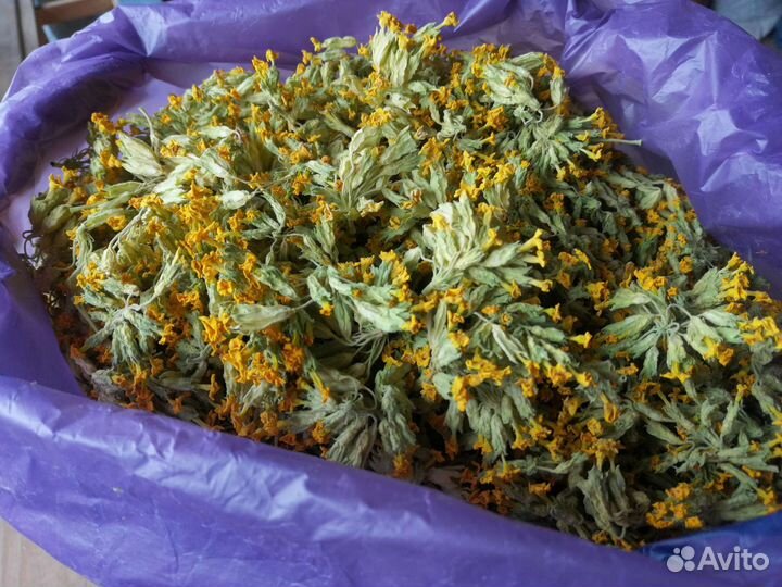 Первоцвет примула. цветы сушёные. 50г