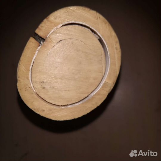 Бивень мамонта