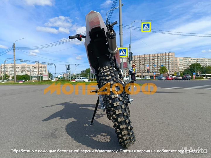 Питбайк SSR core 125E A 17/14 LED АКПП Red Cat Mas