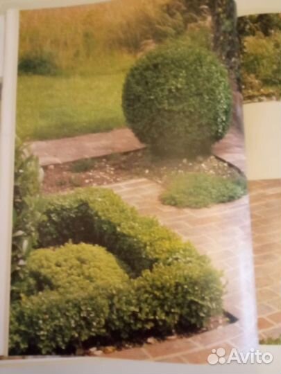 Иллюстрированный альбом