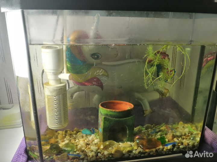 Аквариум