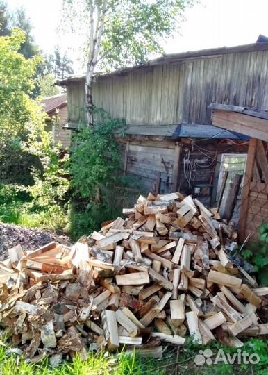Дрова Осина любого объема от производителя