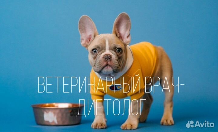 Ветеринарный врач-диетолог