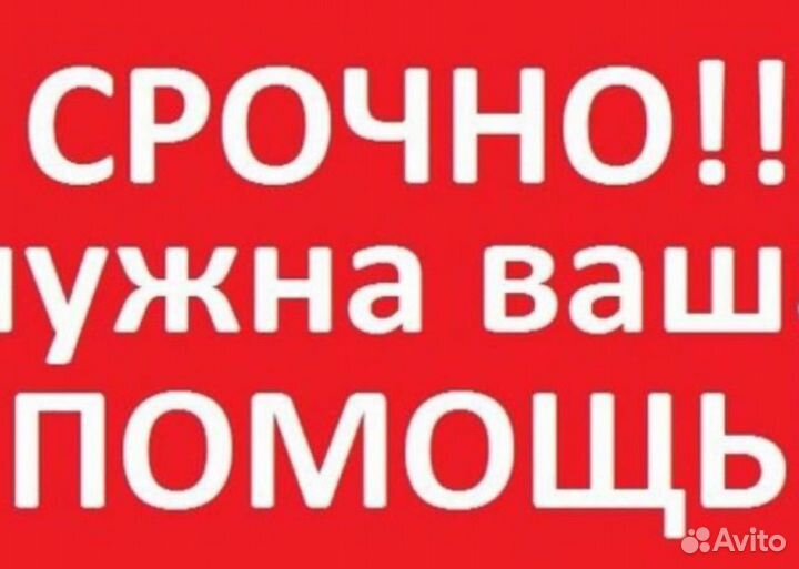 Личный помощник