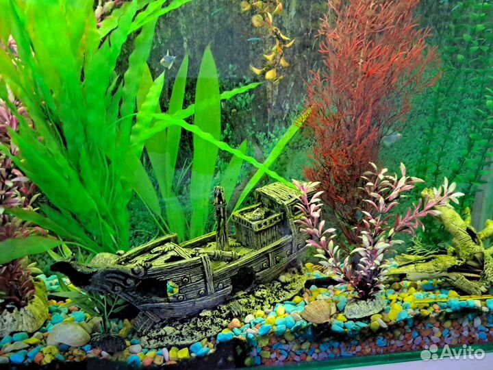 Аквариум с рыбками