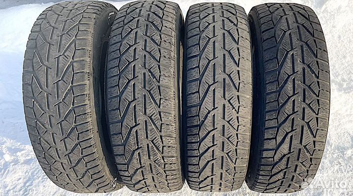 Tigar Winter 205/65 R16 95H