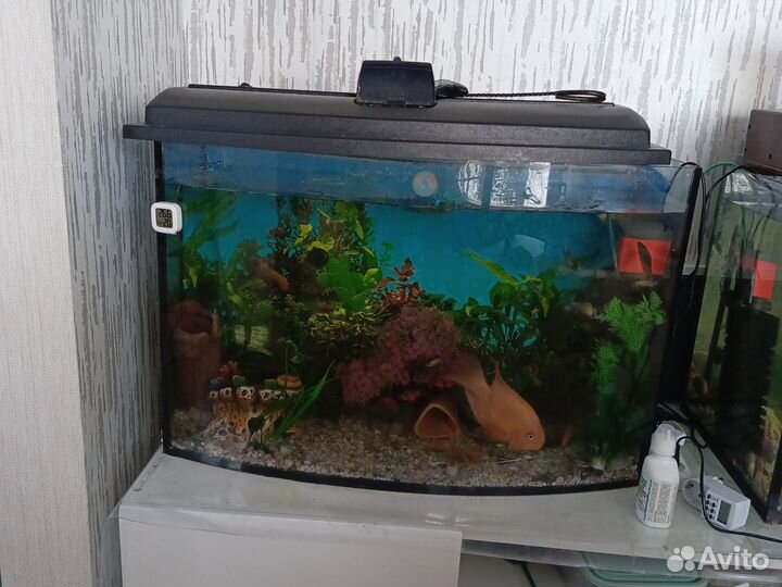 Аквариум 125 литров