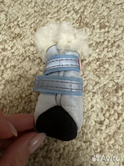 Обувь для собаки ForMyDogs