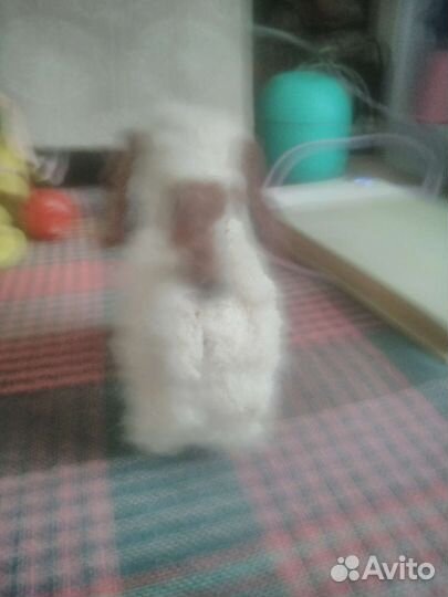 Собачка механическая заводная СССР и котик