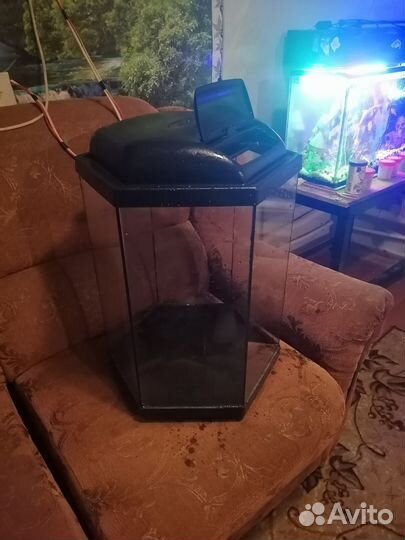 Аквариум