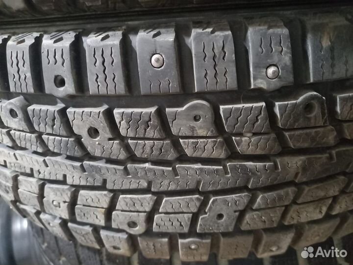 Dunlop Winter Maxx 175/70 R14