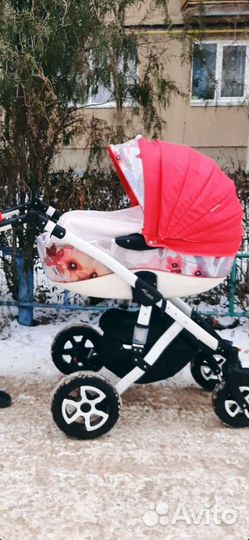 Коляска 2 в 1 adamex