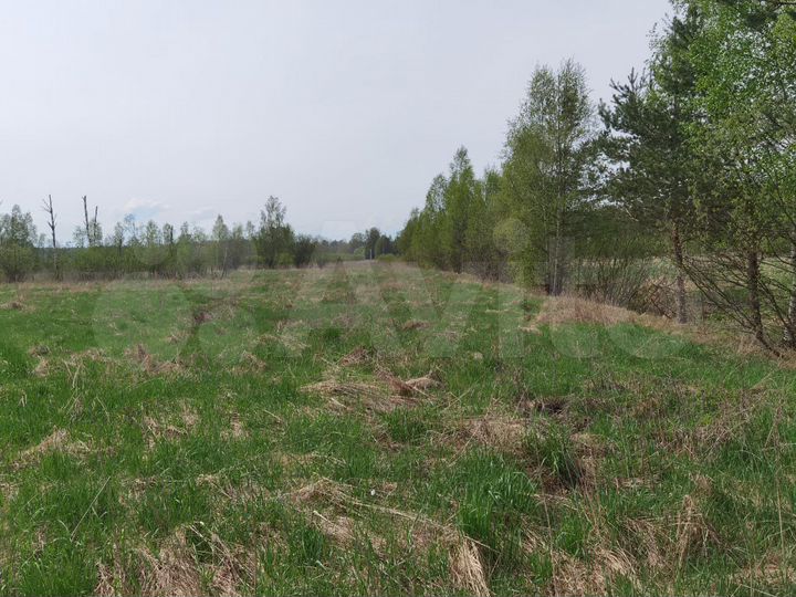 Участок 1,1 га (СНТ, ДНП)