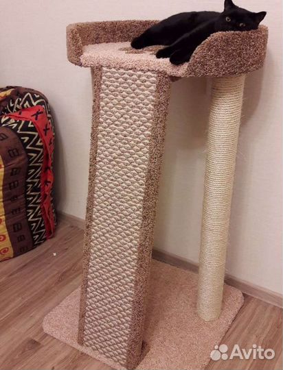 Когтеточка, домики котенка, кошка