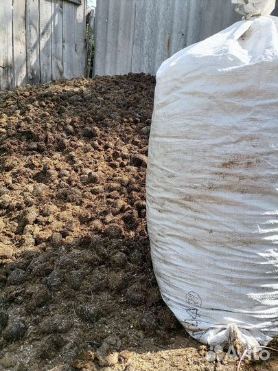 Конский навоз