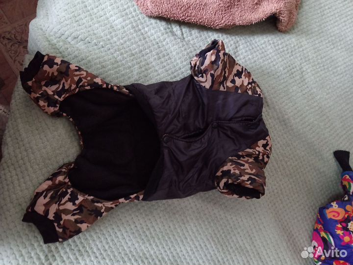 Одежда для средних собак бу