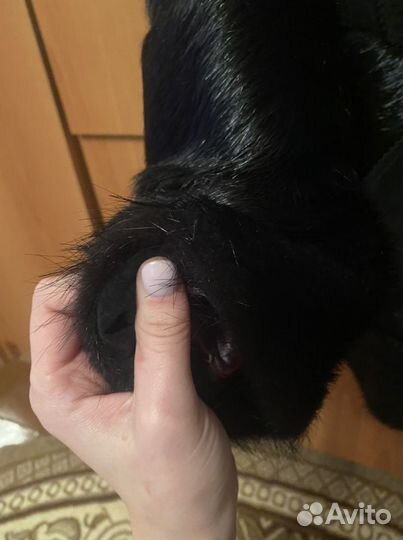 Шуба из нутрии