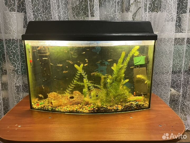 Аквариум