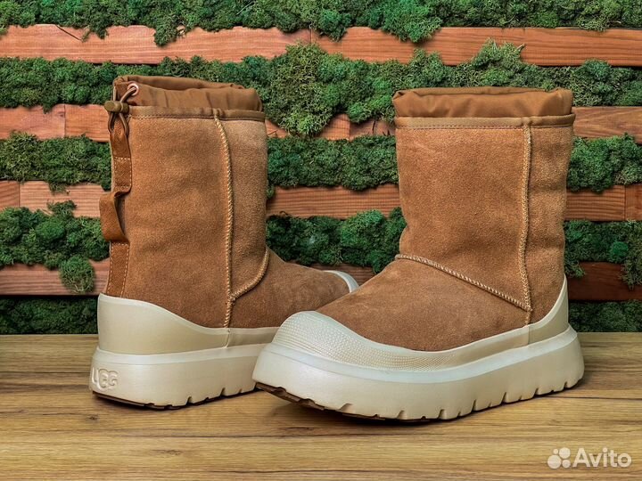 UGG Classic Short Weather Hybrid Boot Chestnut Whi