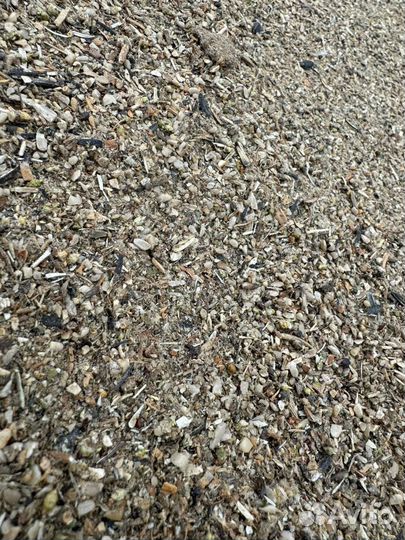 Отходы семечки