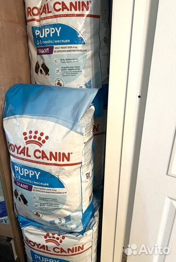 Корм для собак Royal canin puppy giant