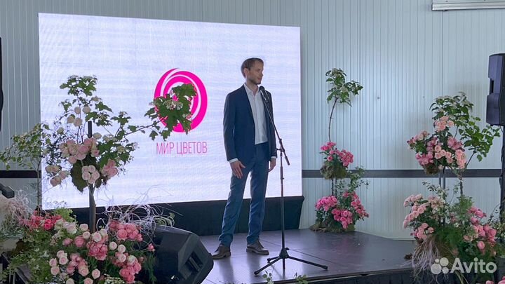 Аренда телевизоров, проекторов и диодных экранов