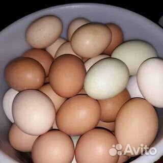 Домашнее яйцо с доставкой