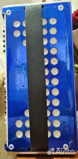 Баян беларусь