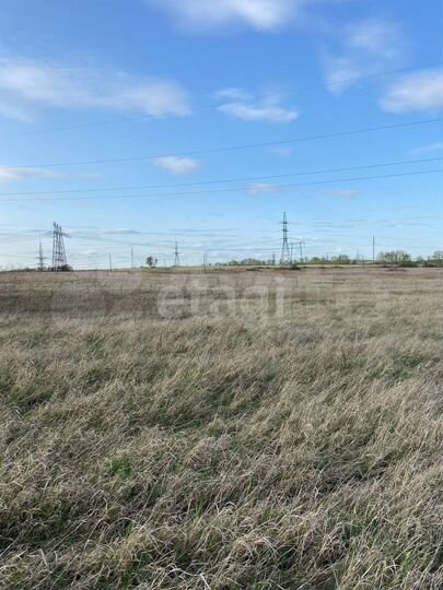 Участок 12,5 сот. (СНТ, ДНП)