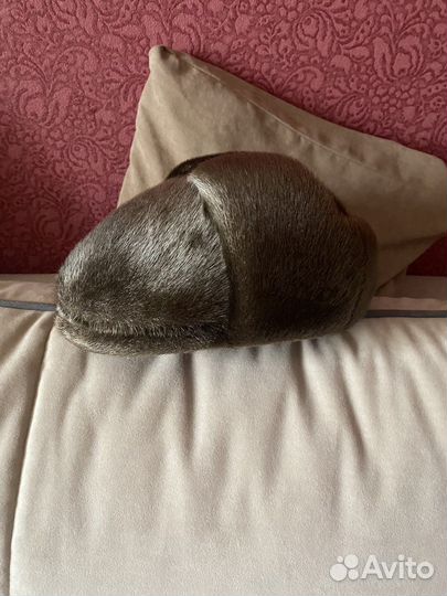 Шапка мужская, мех Нерпа