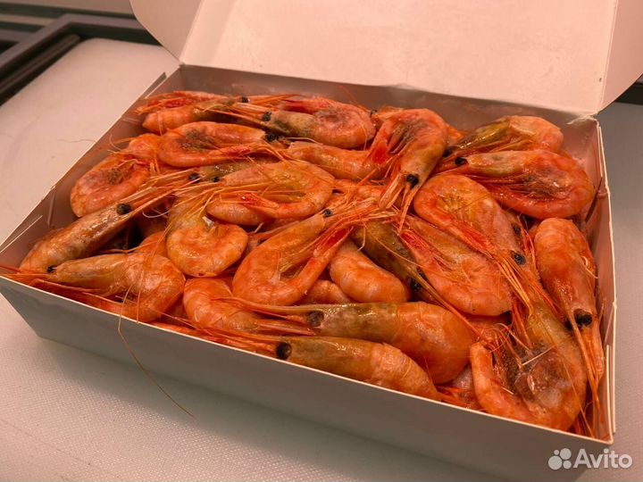 Креветка северная. 2023. Опт