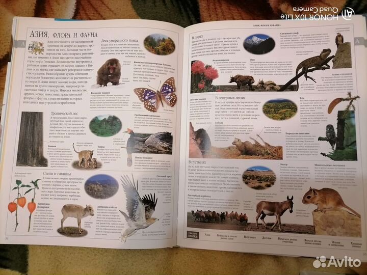 Семейная энциклопедия