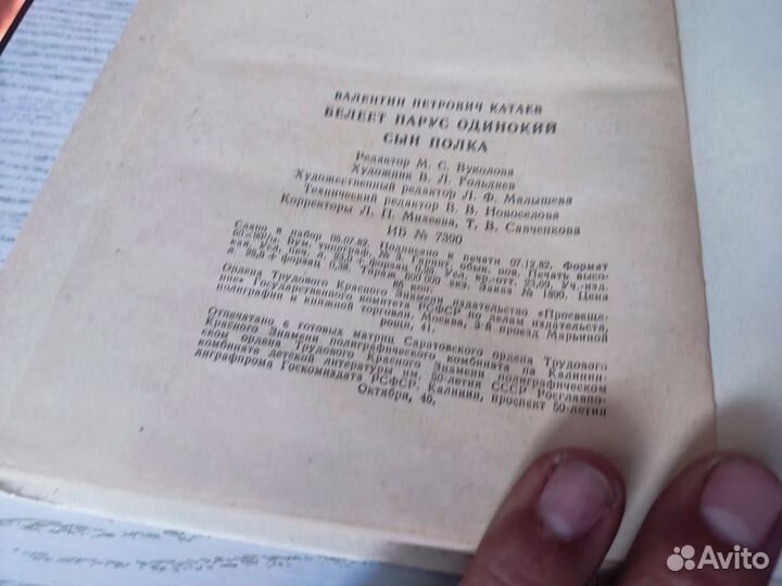 Валентин катаев белеет парус одинокий, сын полка