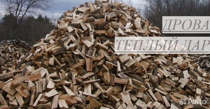 Дрова колотые