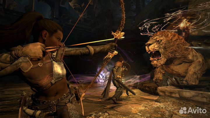 Dragon's Dogma: Dark Arisen (Steam)