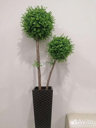 Искусственные деревья/Самшит/Декор