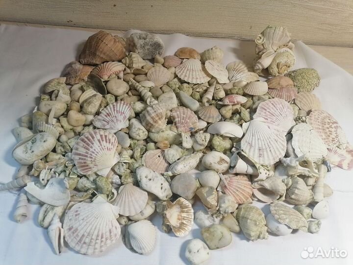 Аквариум 234л, полный комплект к нему