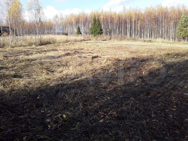 Участок 16 сот. (СНТ, ДНП)