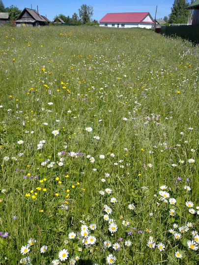 Участок 20 сот. (ИЖС)