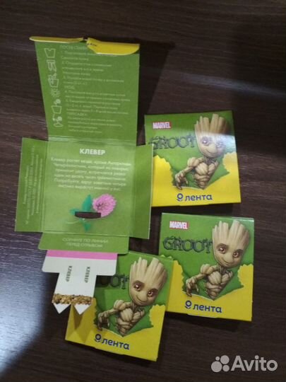 Семена Вырасти с Лентой 2