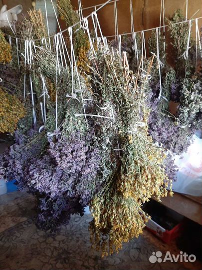 Душица и зверобой