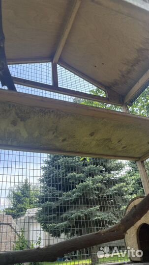 Клетка для белок