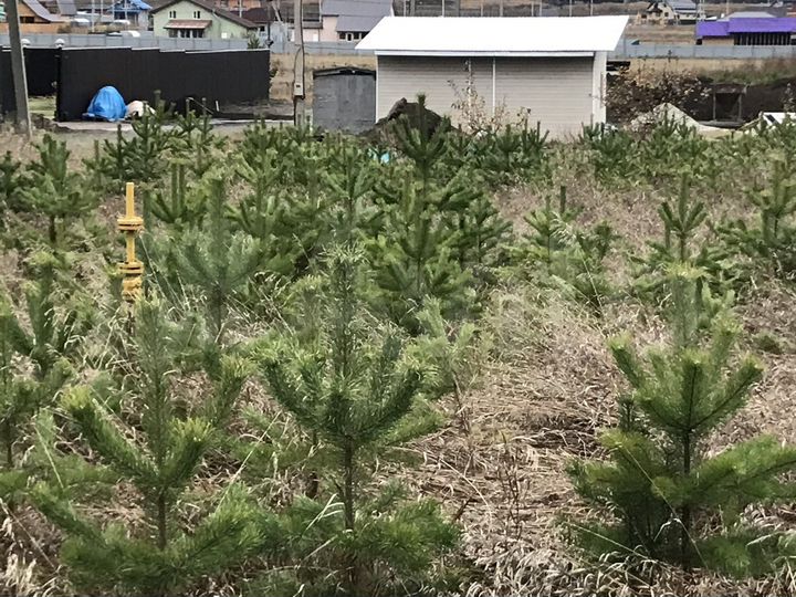 Участок 12 сот. (ИЖС)