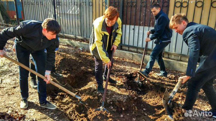 Земляные работы,копка фундамента, траншей, огород
