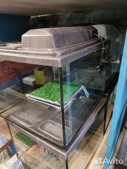 Террариум 35 цвет венге для черепах