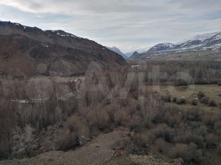 Участок 2,3 га (СНТ, ДНП)