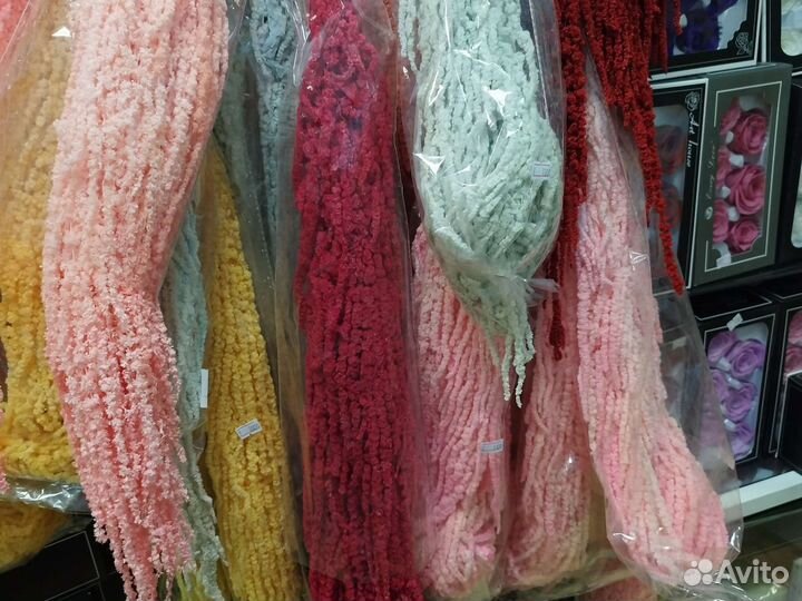 Амарант стабилизированный