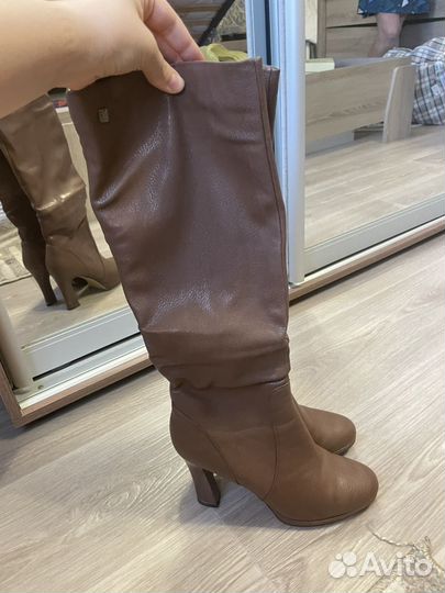 Сапоги женские демисезонные